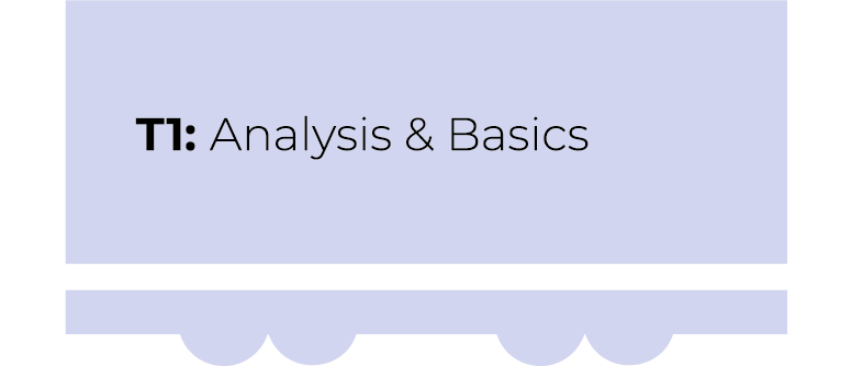 T1: Analysis & Basics | AlpInno CT